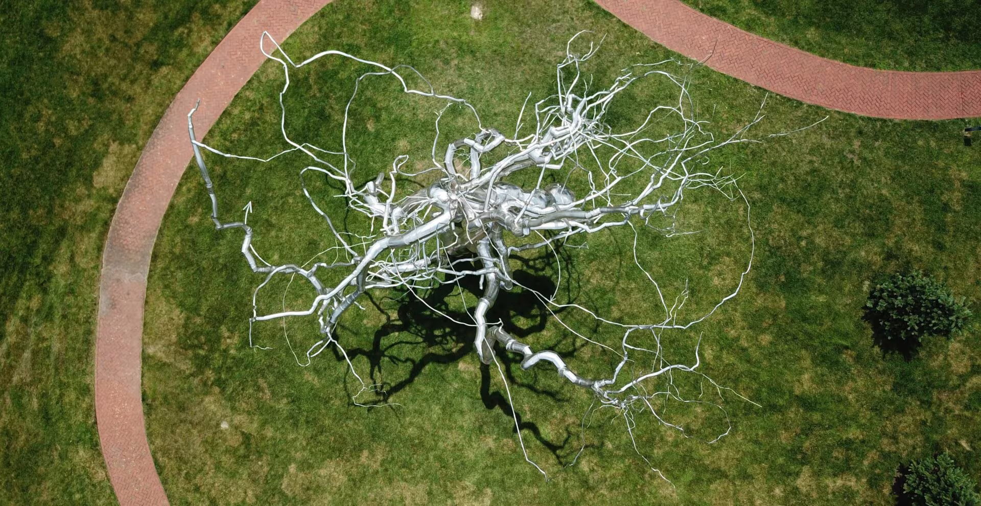 Escultura metálica con forma de neurona sobre el césped vista desde arriba, imagen de la psilocibina y la neuroplasticidad