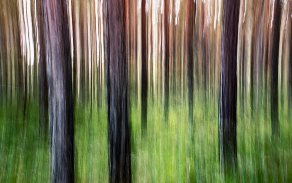 lsd-ansiedad-terapia-innovadora-fda-psicodélicos-modelo terapeutico-terapia asistida