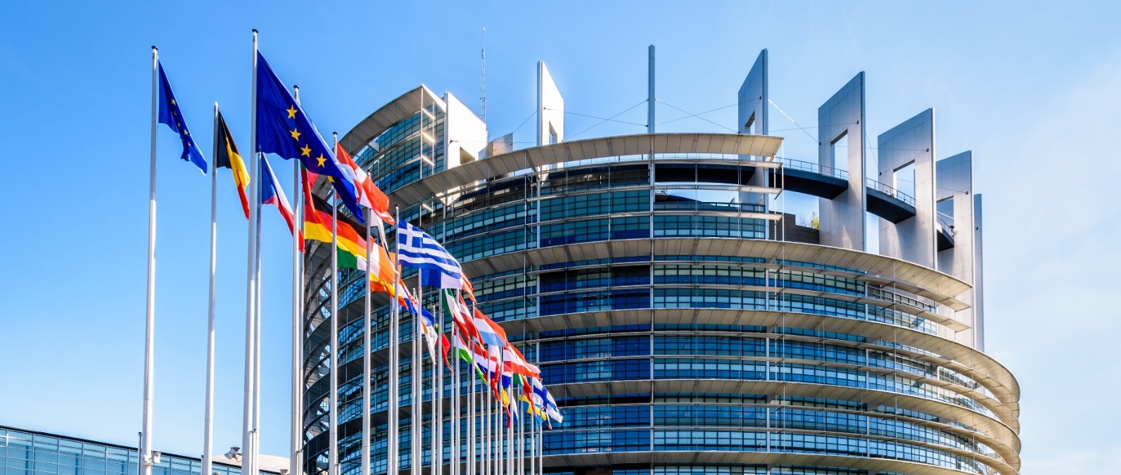 La UE lanza su primer proyecto de investigación con psilocibina para el que destina 6,5 millones de euros