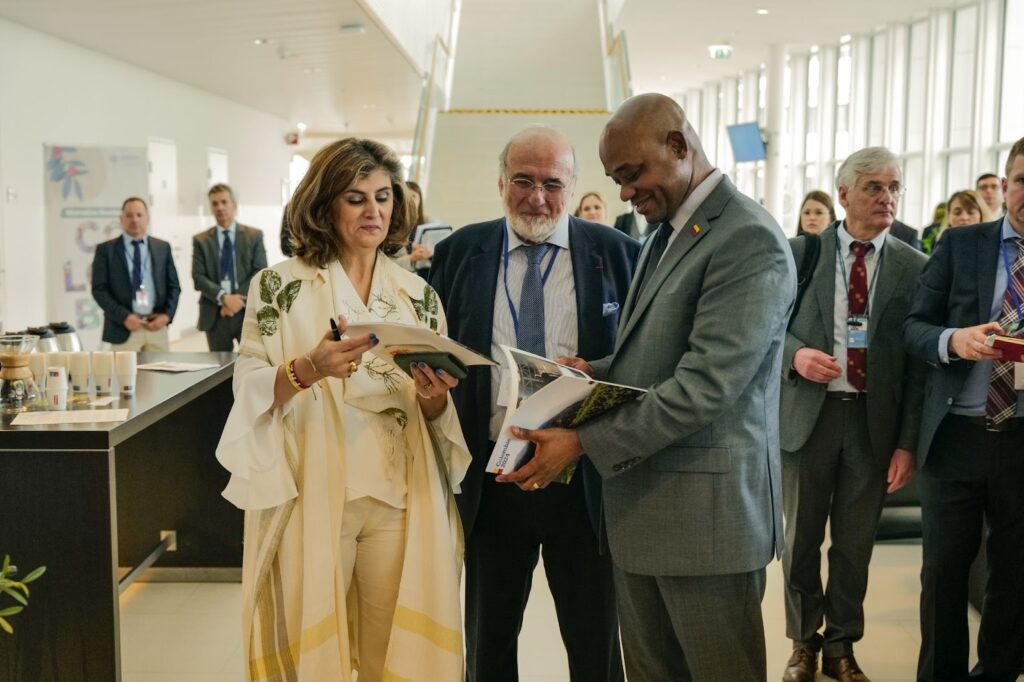 naciones unidas reducción de daños