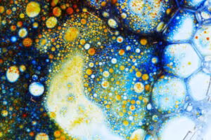 Bacterias y microorganismos de colores vistos al microscopio, imagen de la relación entre bacterias y psicodélicos en salud mental