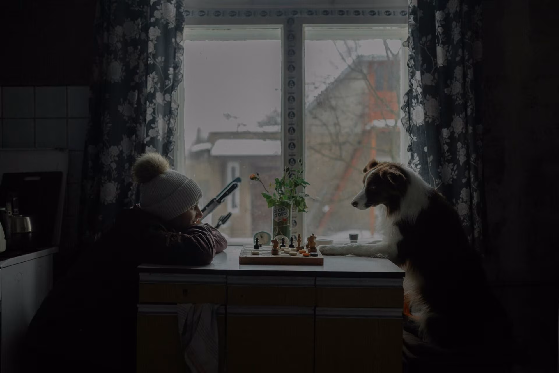 Persona y perro sentados a la mesa ante un tablero de ajedrez junto a una ventana en penumbra