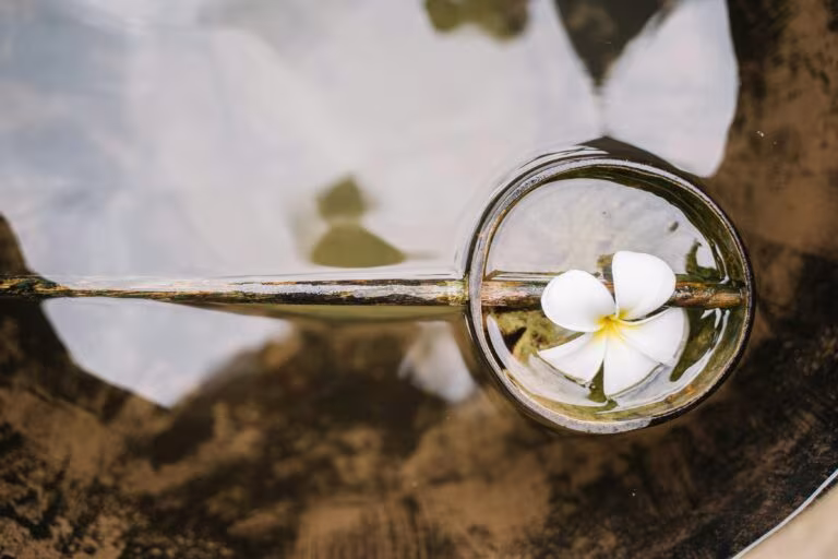 Flor blanca dentro de un recipiente de cristal, imagen del potencial de los psicodélicos en adultos con autismo