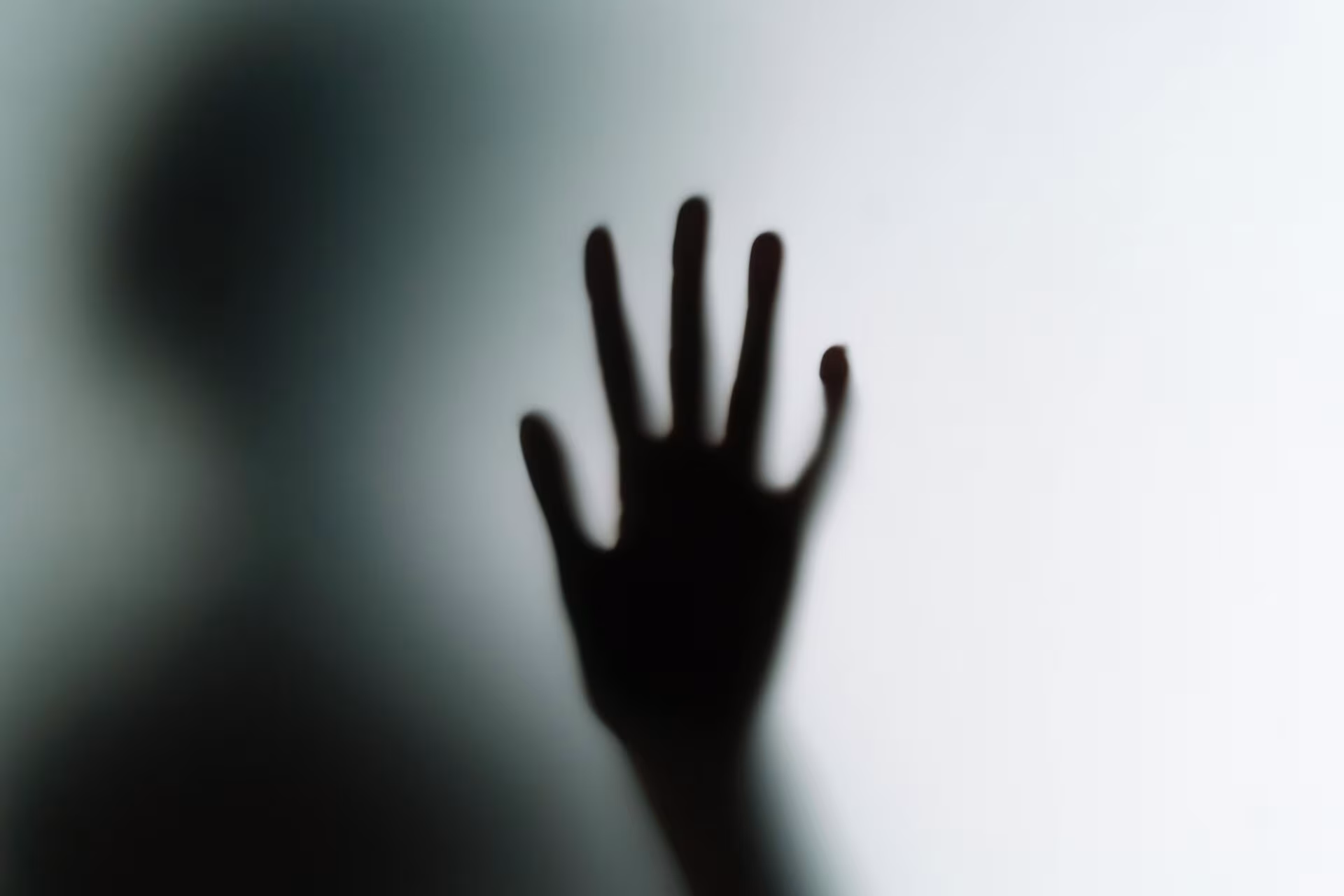 Un nuevo hito para el renacimiento psicodélico en España