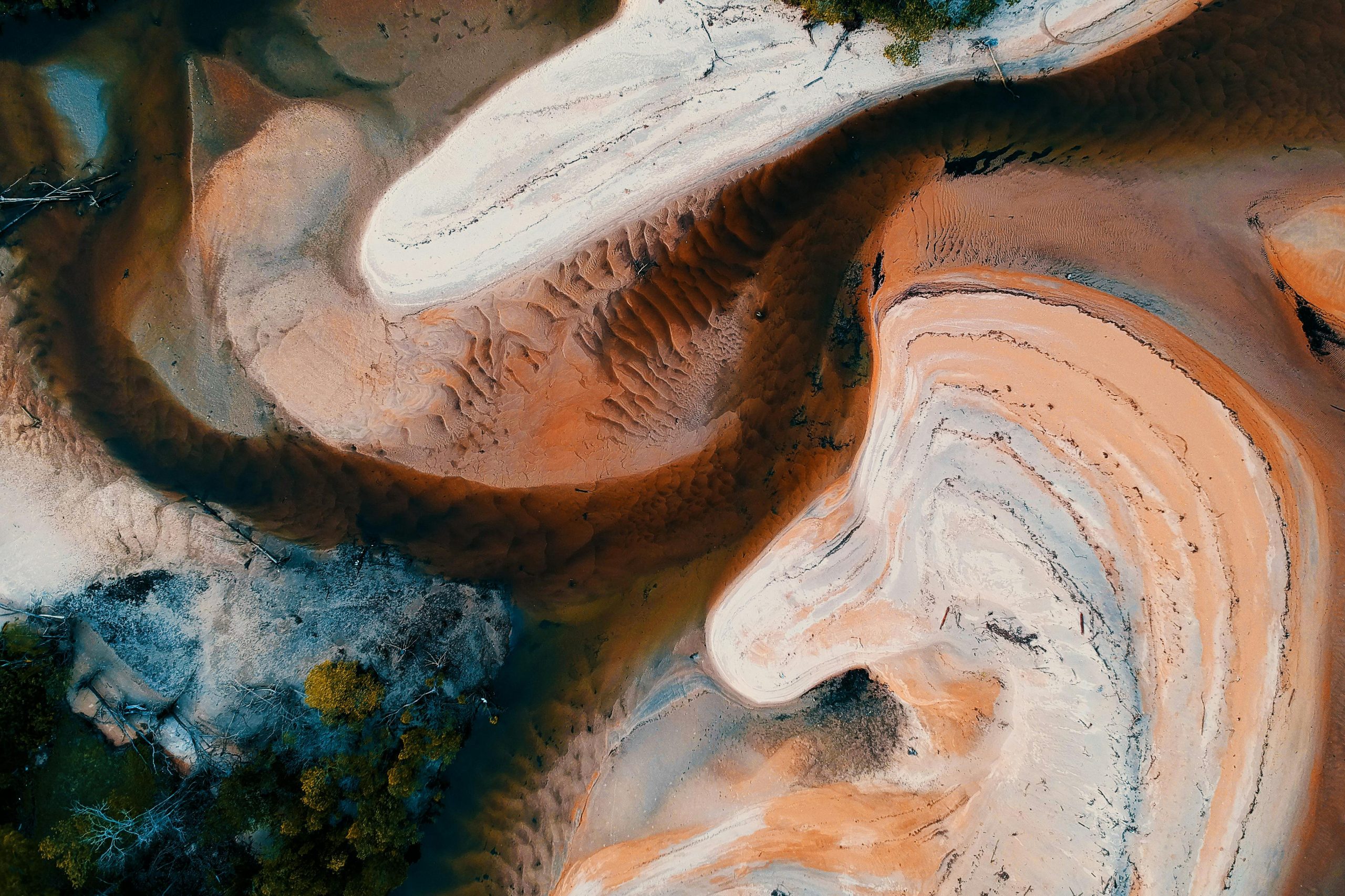  inawe en el Parlamento Europeo con la iniciativa PsychedeliCare