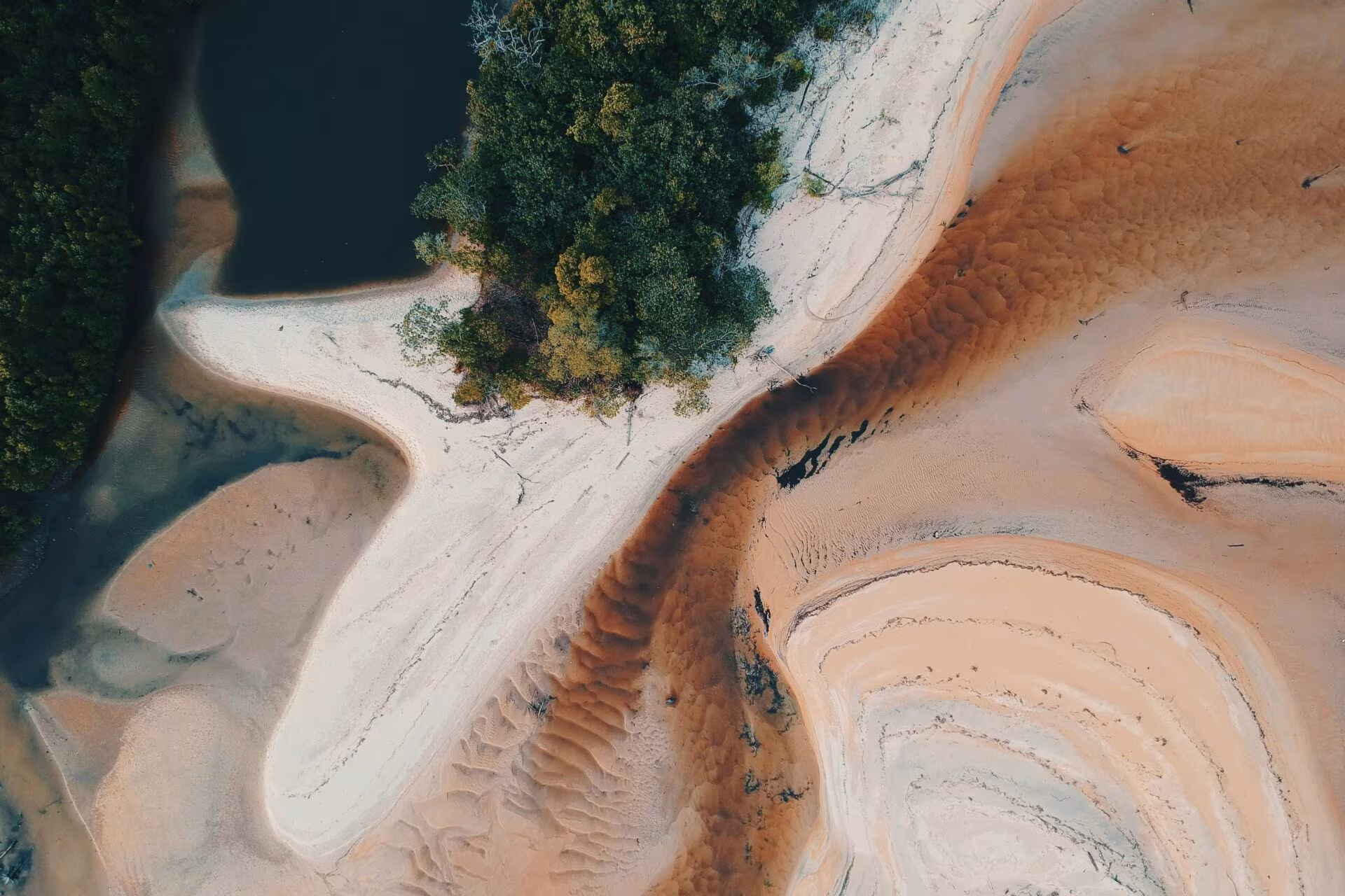 Vista aérea de dunas y vegetación, imagen del metaanálisis sobre la esketamina en la depresión resistente al tratamiento