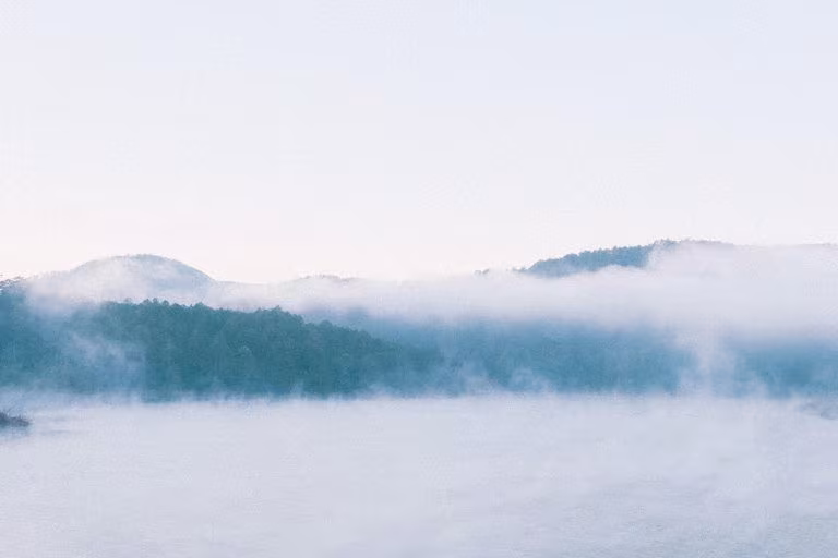 Montañas entre la niebla, imagen del estudio de la Universidad de Michigan sobre un psicodélico que revierte la anestesia