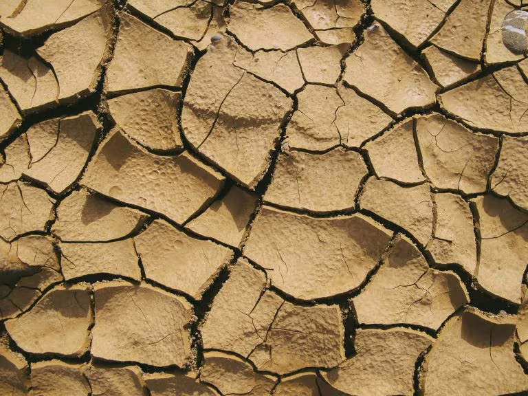 Tierra seca y agrietada, imagen de las recomendaciones de expertos para reducir riesgos en el uso de psicodélicos