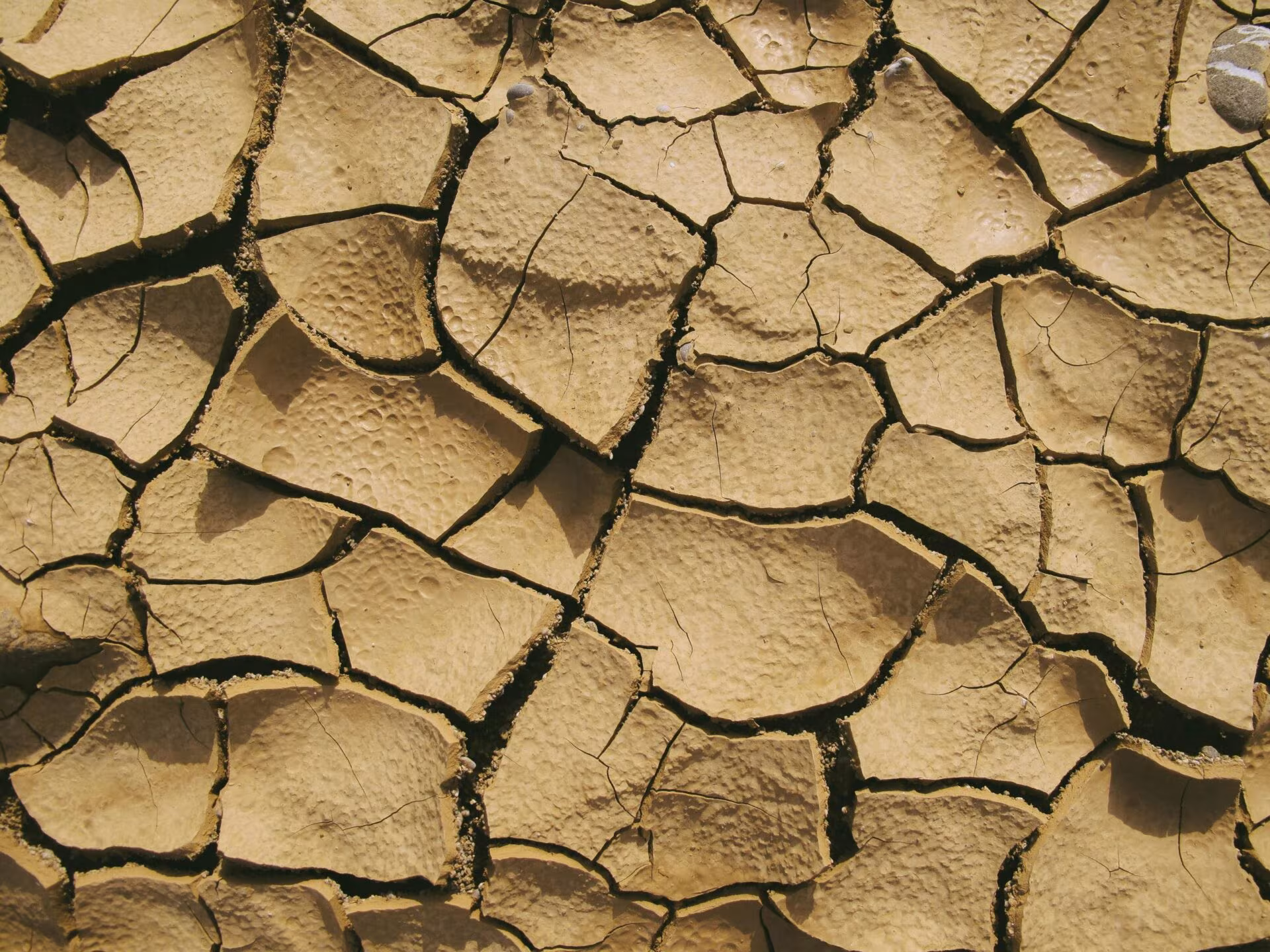 Tierra seca y agrietada, imagen de las recomendaciones de expertos para reducir riesgos en el uso de psicodélicos
