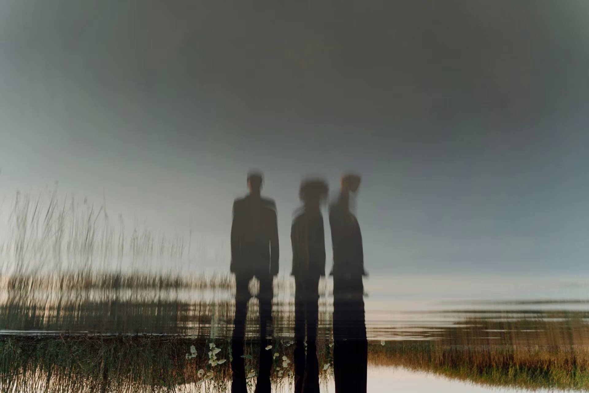 Siluetas de personas reflejadas en el agua entre juncos, imagen de la psilocibina como tratamiento de la dependencia al alcohol