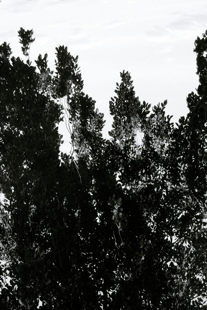 ketamina financiación pública