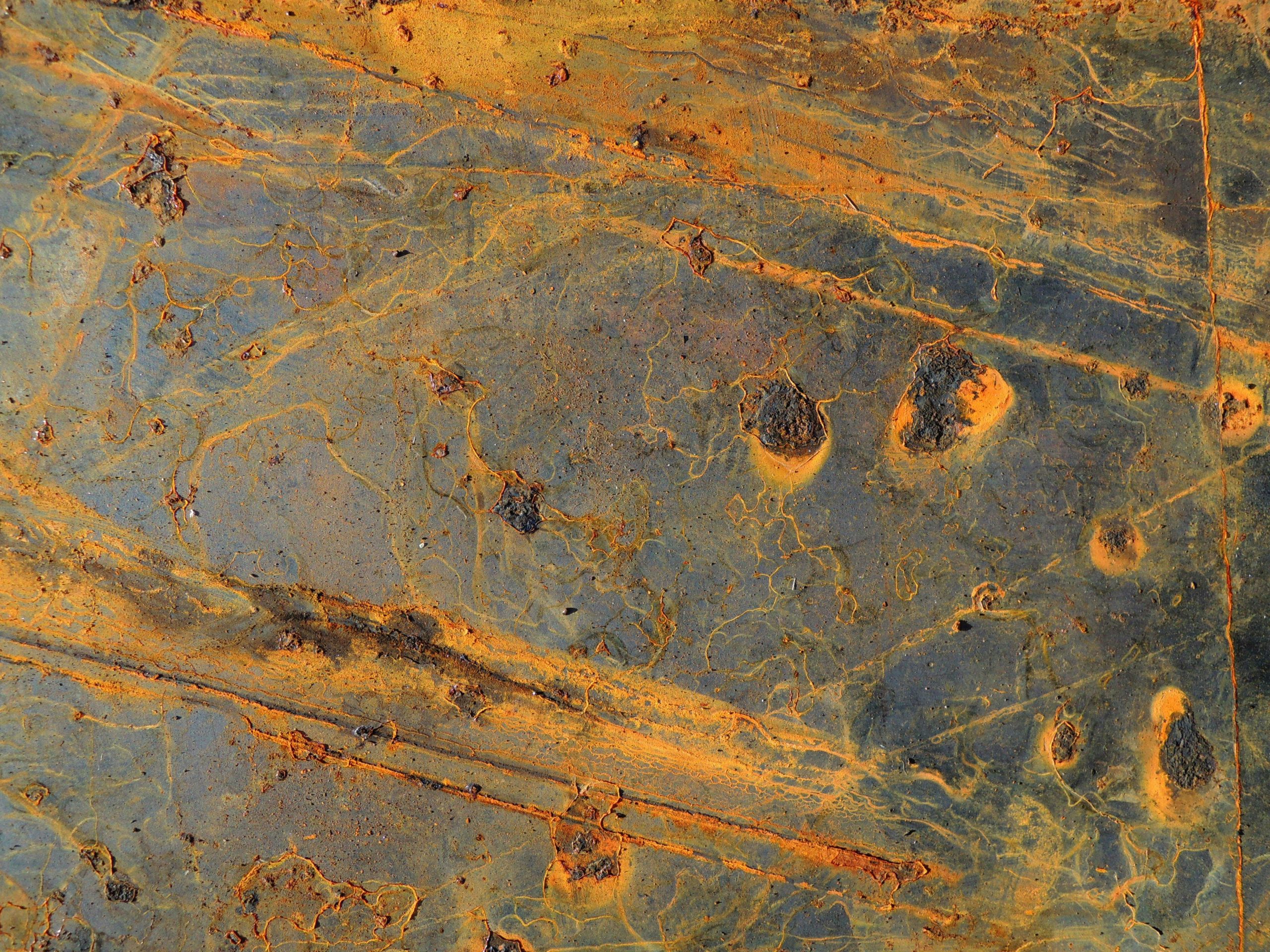 INTEGRATE: La UE impulsa la profesionalización de la terapia psicodélica