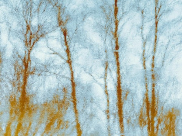 Automedicación con psicodélicos: una señal clínica que no deberíamos ignorar