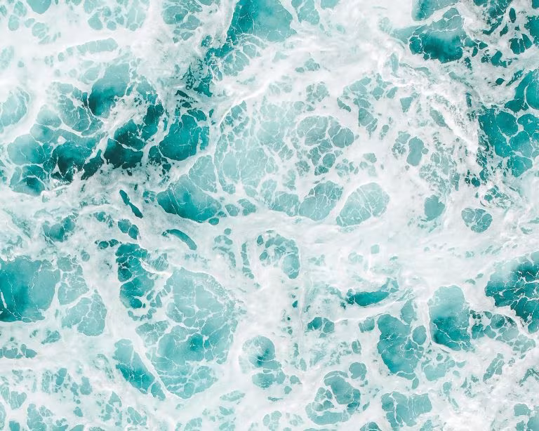 Espuma de olas en el mar vista desde arriba, imagen de la Casa Blanca frenando la vía rápida para aprobar la psilocibina