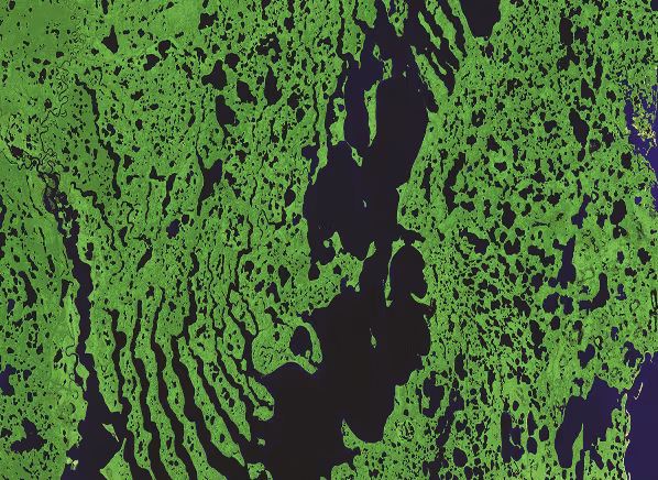 Vista aérea de vegetación verde entre el agua, imagen de las ponencias de Psymposium Madrid 2025